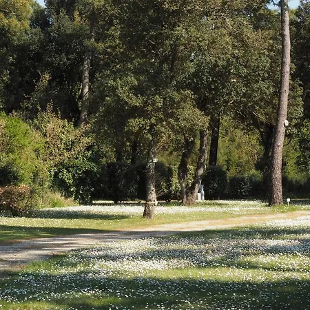 Camping Le Puits De L'auture Campsite Saint-Palais-sur-Mer